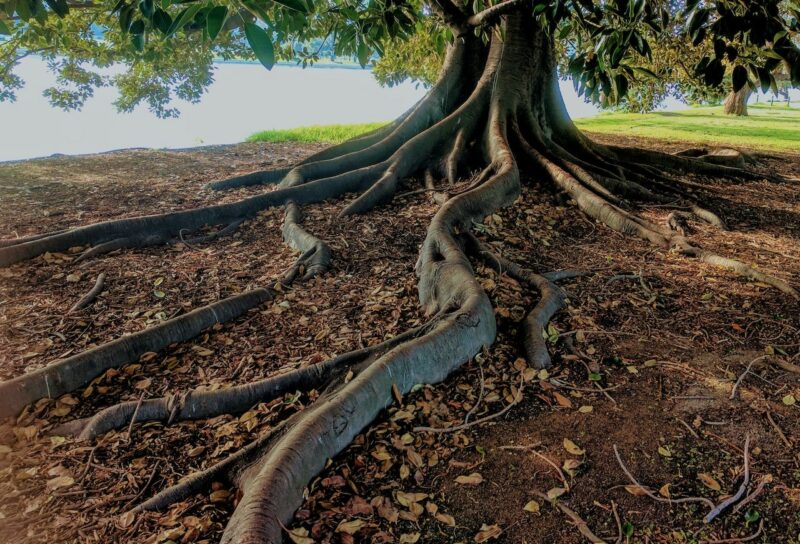 Werde Bodenhelfer: Workshop Nachhaltigkeit