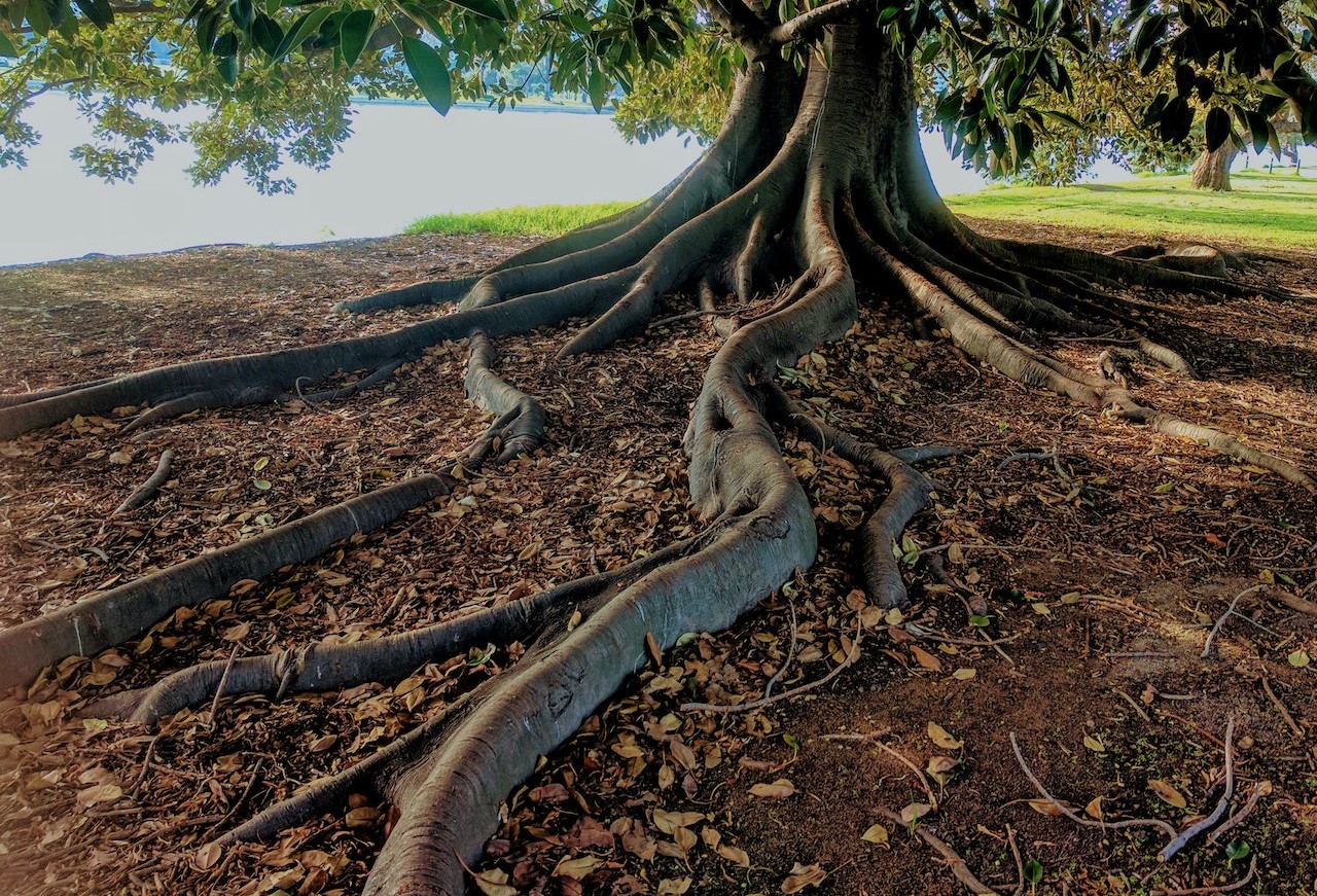 Werde Bodenhelfer: Workshop Nachhaltigkeit
